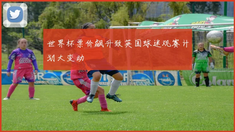 世界杯票价飙升致英国球迷观赛计划大变动
