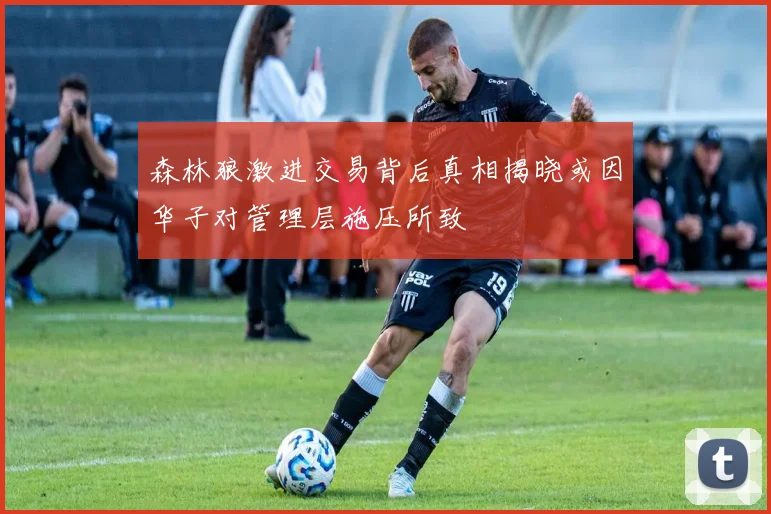 森林狼激进交易背后真相揭晓或因华子对管理层施压所致